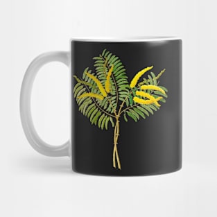 Acacia caffra - botanical illustration Mug